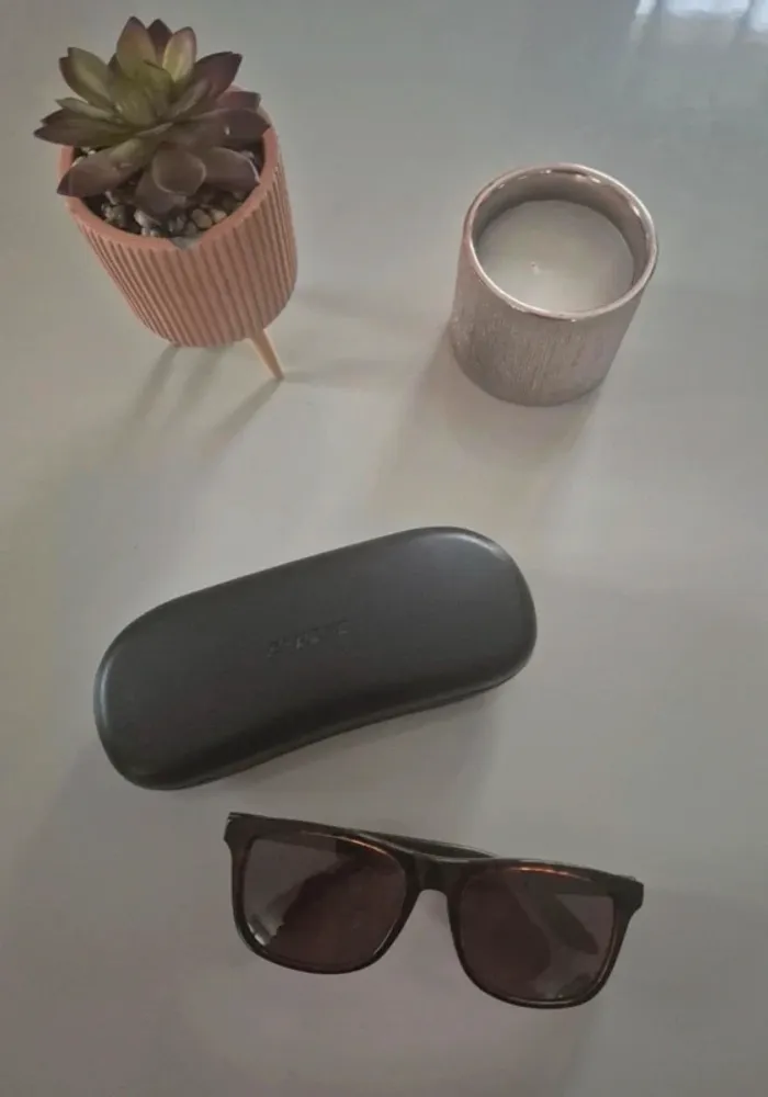 Lunettes de soleil Carrera homme – monture marron + étui