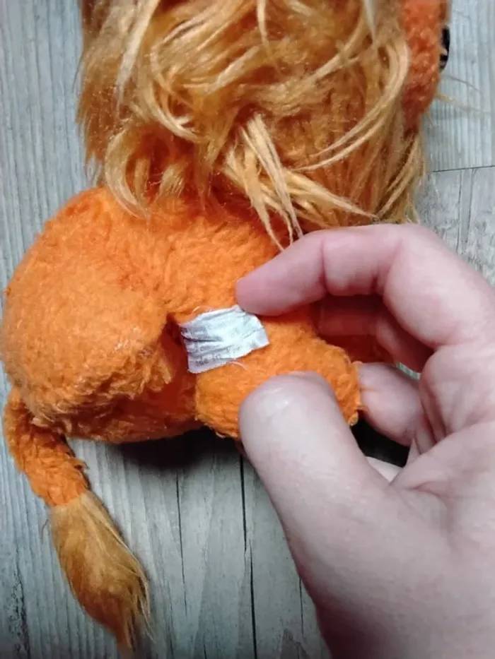 Lion 🦁 - photo numéro 5