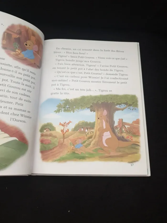 Livre "Mon album 2006 Disney" - photo numéro 3