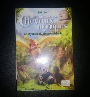 📚 Livre - Le club des chevaux magiques