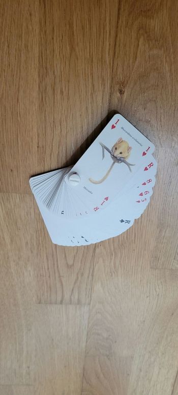 Jeu de 52 cartes animaux