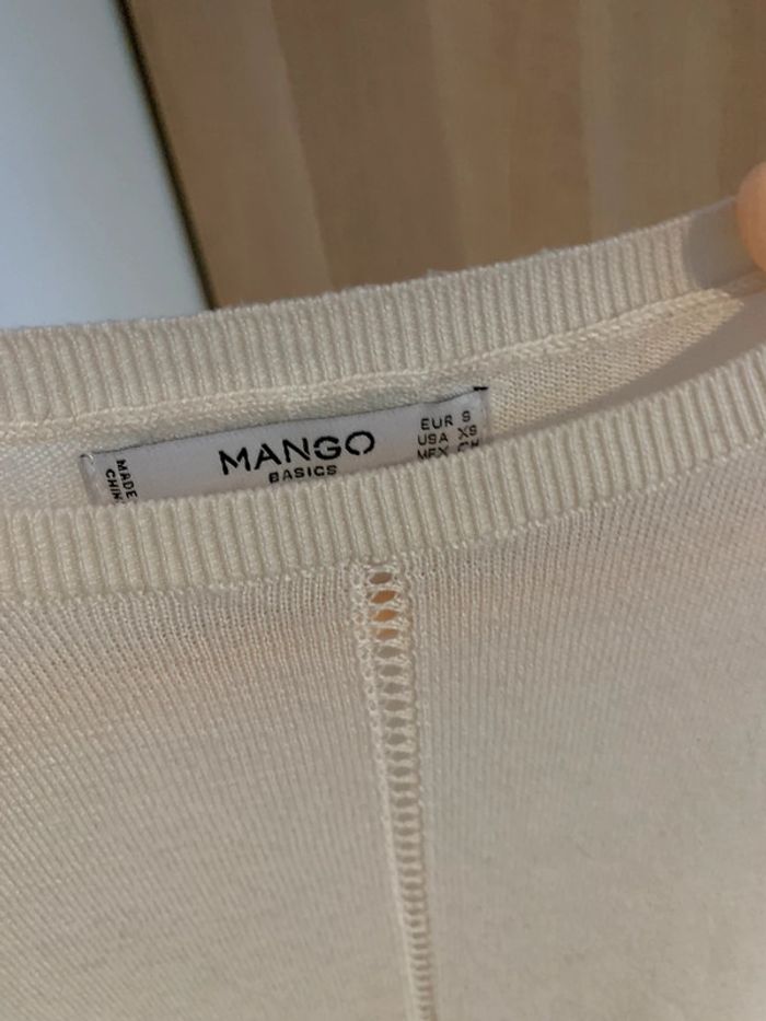 Pull fin mango - photo numéro 3