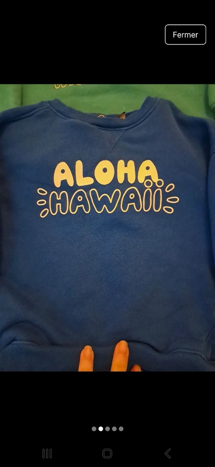 Lot 2 sweat 24 mois - photo numéro 2