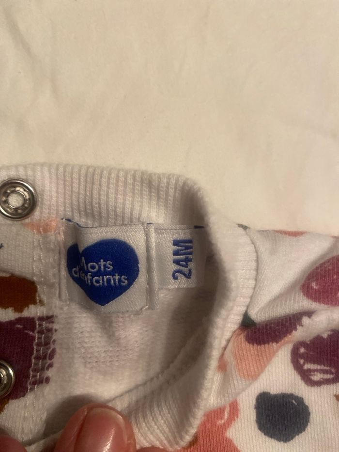2 pulls fille 2ans - photo numéro 2