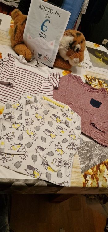 Lot de 3 tee-shirts manche longue 6mois