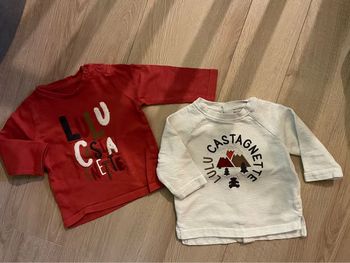 Lot 2 tee-shirts lulu castagnette