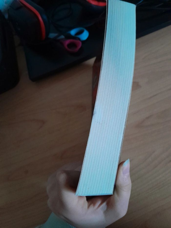 Livre les fils du dragon vert - photo numéro 4