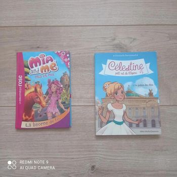 Lot de 2 livres