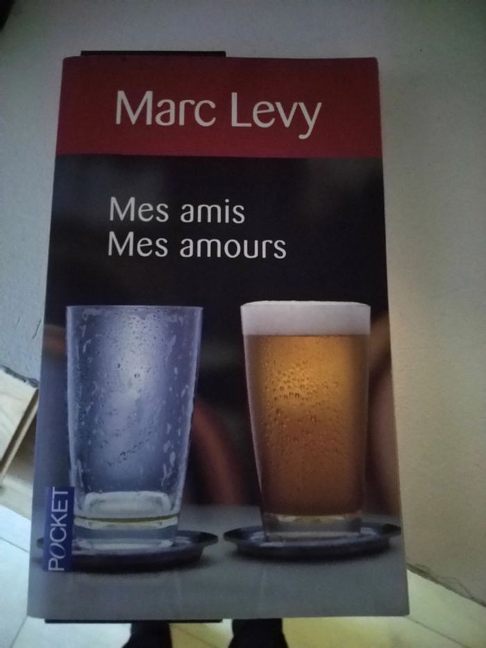 Mes amis, mes amours