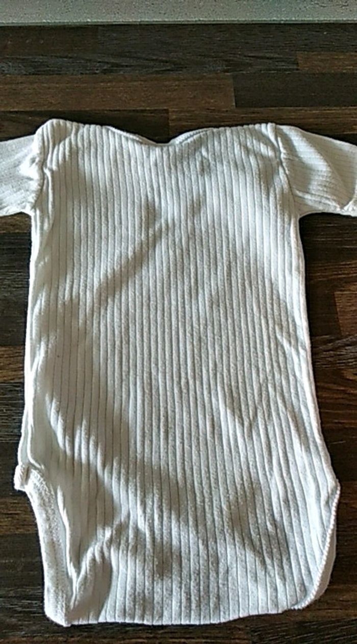 Body absorba 12 mois - photo numéro 5