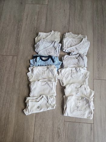 Lot de 12  bodys