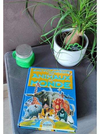 Encyclopédie des animaux du monde