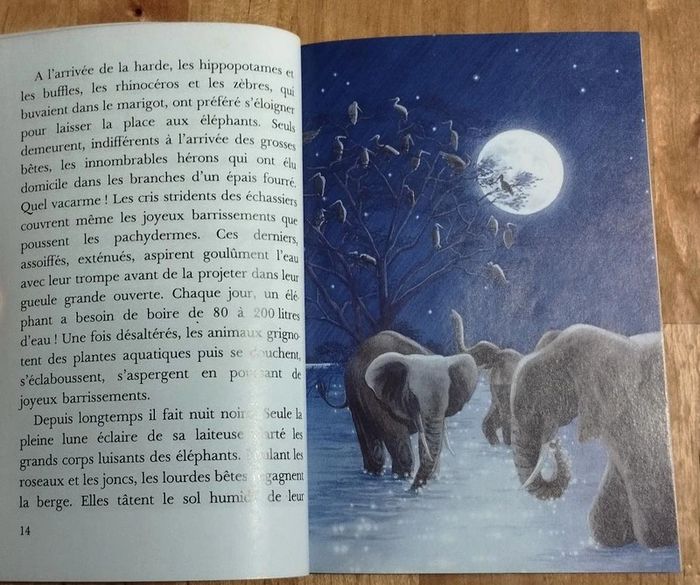 Livre enfant Kongo l'éléphant - 8 ans - photo numéro 4