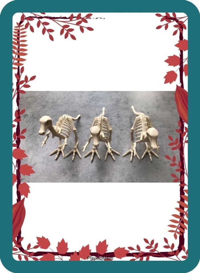 Squelettes dinosaures