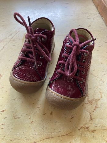 Bottines naturino T19