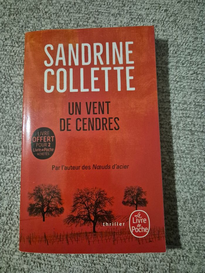 Livre titre Un vent de cendres