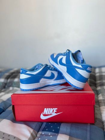 Dunk low bleu