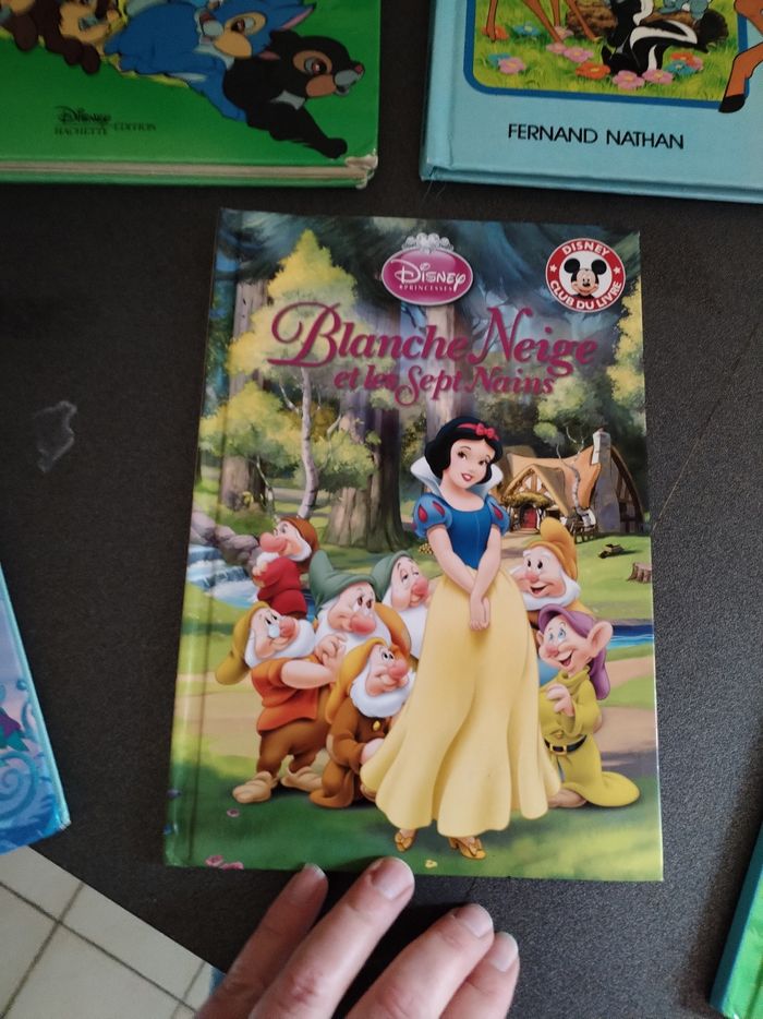 Lot livres disney - photo numéro 4