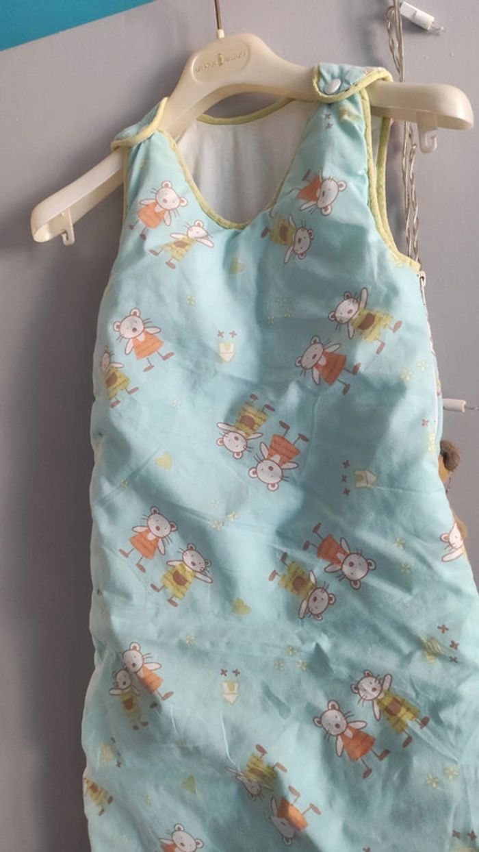 Grande Gigoteuse souris - photo numéro 2