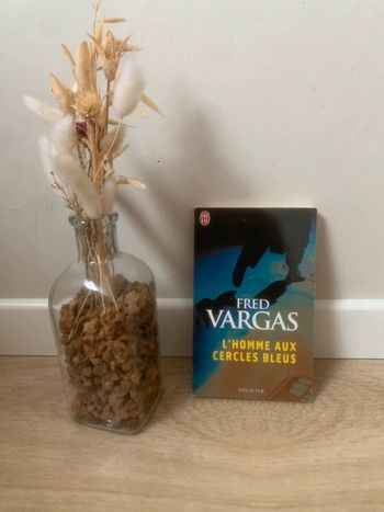 • Livre « l’homme aux cercles bleus » de Fred Vargas