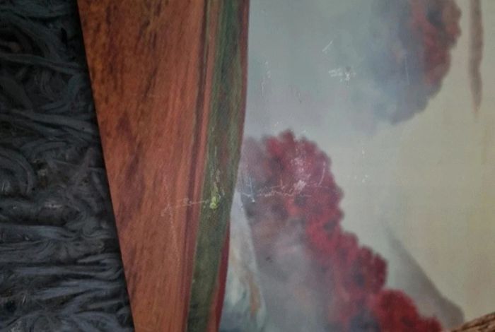 Grand tableau Kung fu panda - photo numéro 7