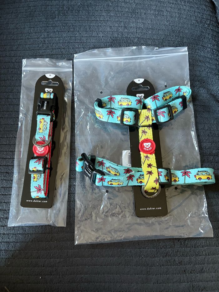 Collier et harnais chien