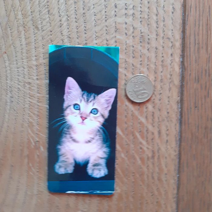 Marque pages magnétique chat - photo numéro 3
