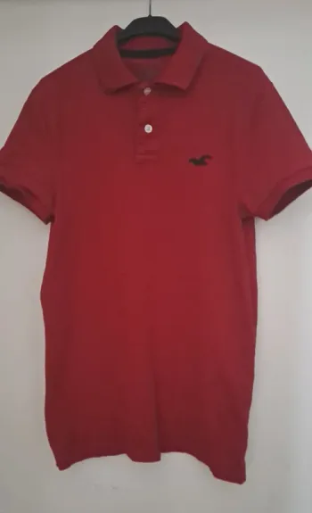 Polo Hollister