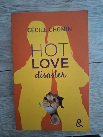 Livre Hot Love disaster