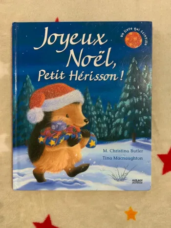 Joyeux Noël, Petit Hérisson – Grand format – Livre qui scintille