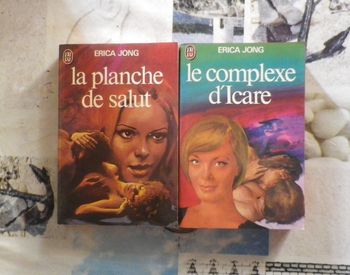 2 Erica Jong La planche de salut et Le complexe d'Icare