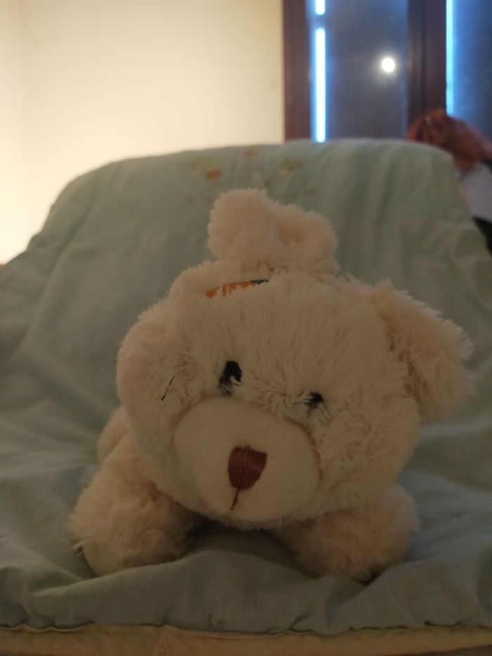 lapin sac