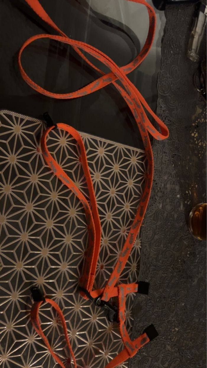 Laisse pour chat - photo numéro 2