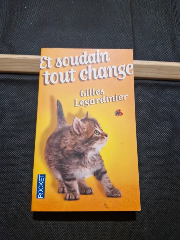 Et soudain tout change - Gilles Legardinier