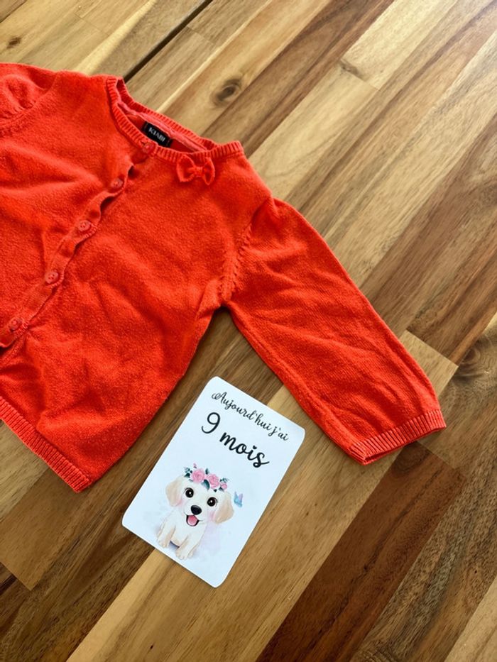 Gilet orange - photo numéro 2