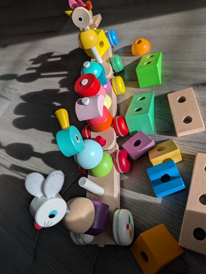 Train géant Janod - photo numéro 2