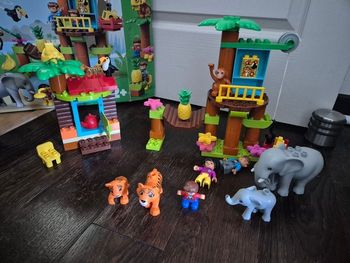 Foret tropicale jungle duplo