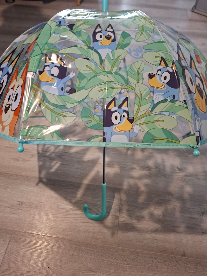 Para bluey - photo numéro 5