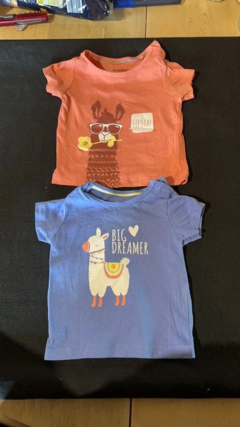 Lot t-shirtX3 Lama