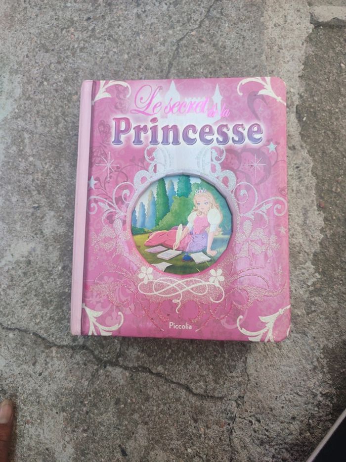 Livre le secret de la princesse