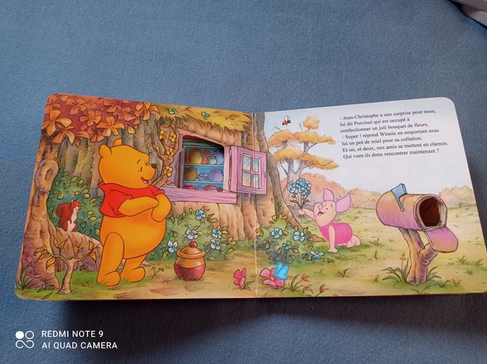 Lot de livres à trous Winnie l'ourson, éditions Hemma - photo numéro 2