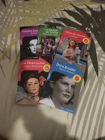 Lot de livres classico lycée