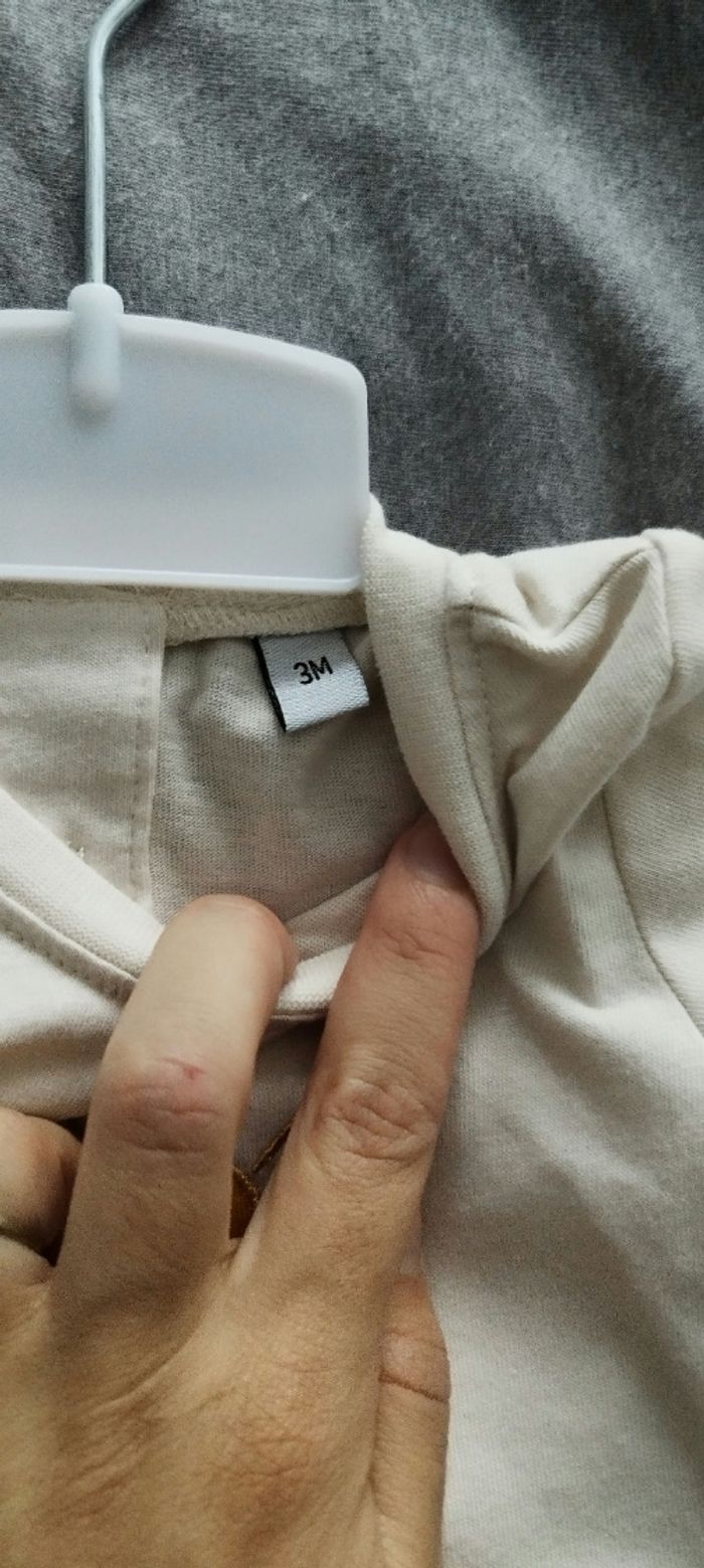 Ensemble - photo numéro 2