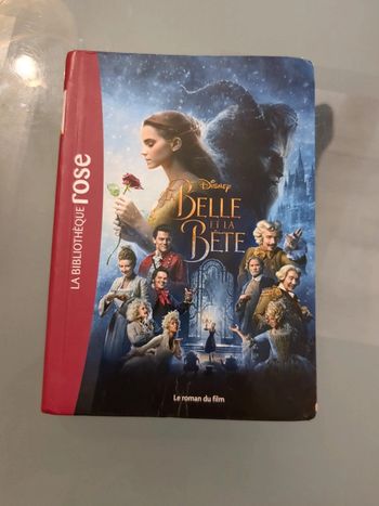 Livre la belle et la bête
