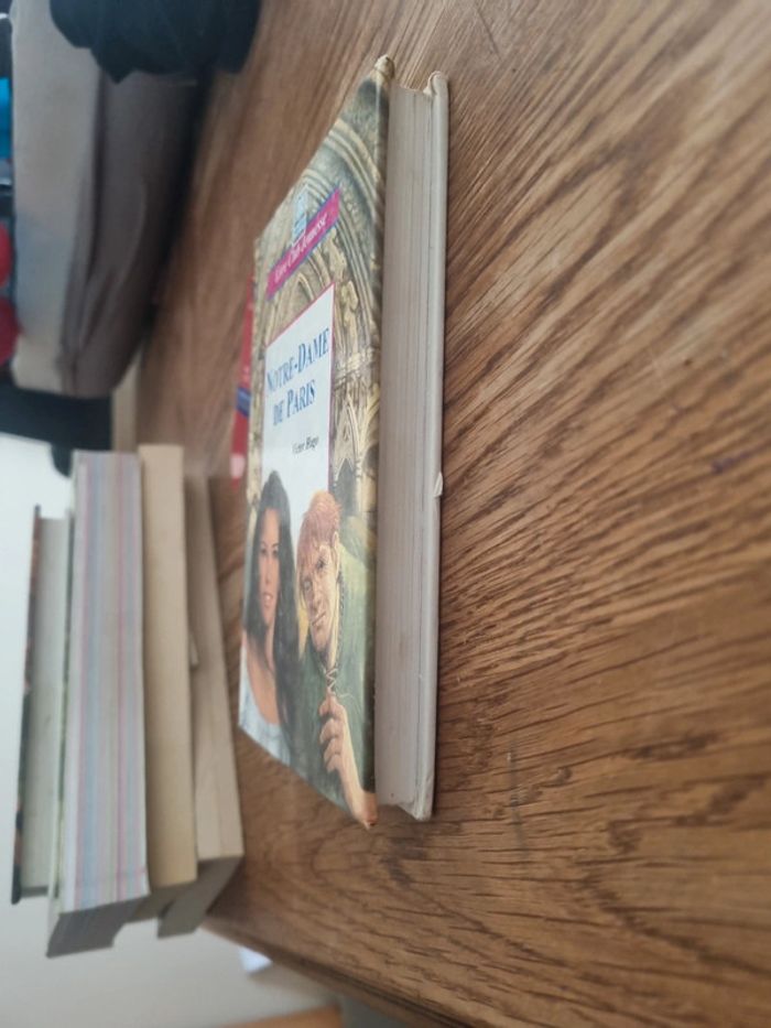 Notre Dame de Paris Victor Hugo - photo numéro 4