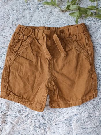 Short Camel 18m