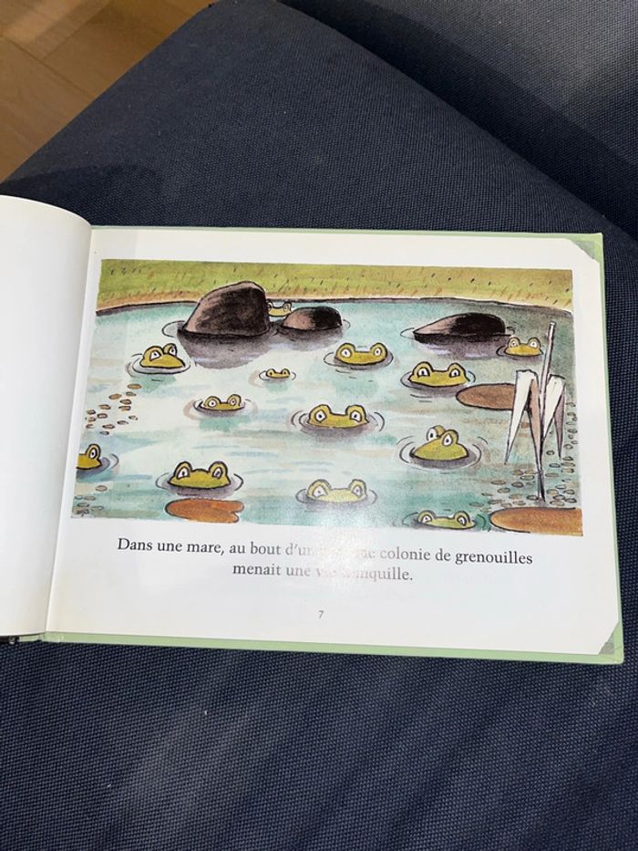 Livre pour enfants pauvre verdurette par Claude boujon - photo numéro 2