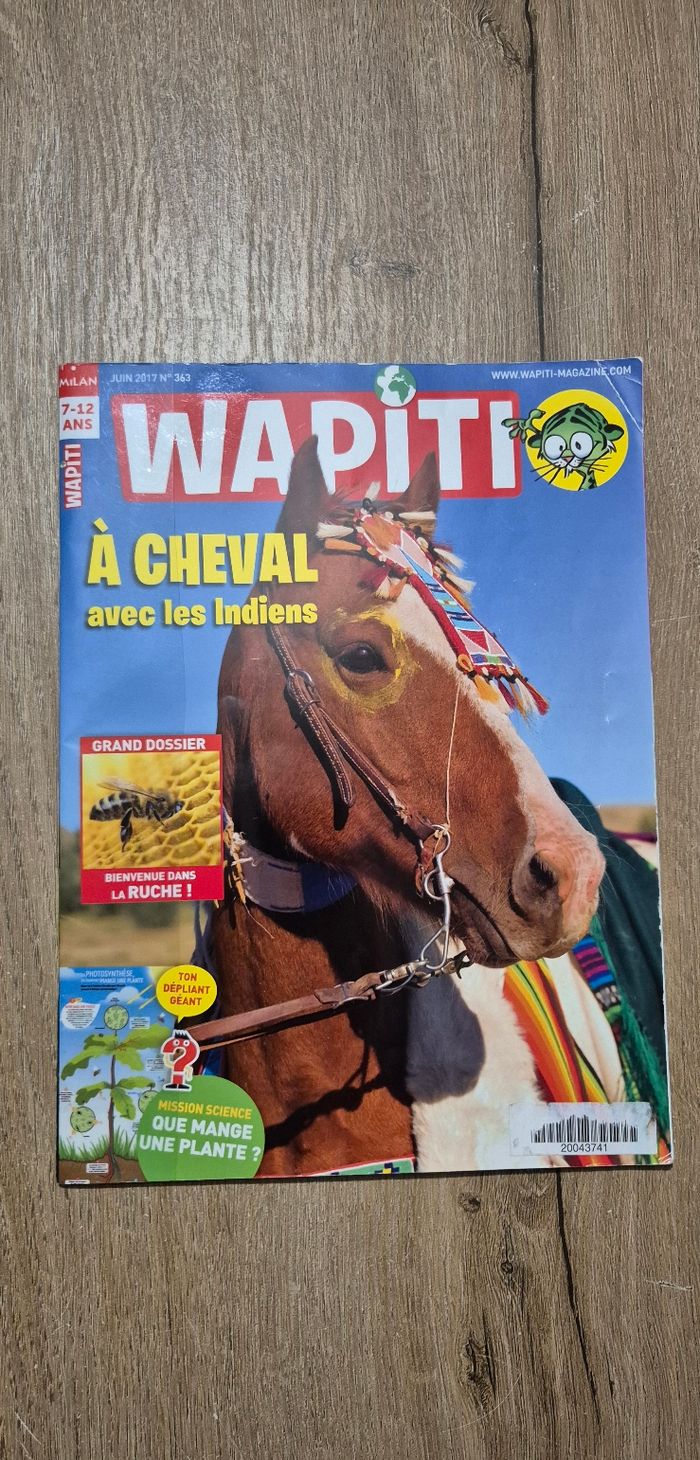 Lot magazines Wapiti - photo numéro 2