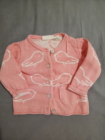 Gilet rose "oiseaux" _ 2/3 mois