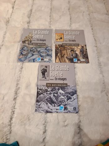 Lot 3 livres La Grande Guerre